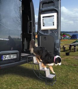 Faltbare Hundetreppe – Ein- & Ausstiegshilfe für Hunde